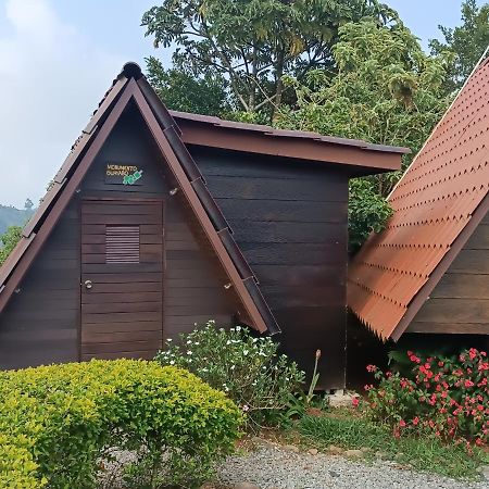 Casa Tucan Glamping Hotel Turrialba Exterior photo