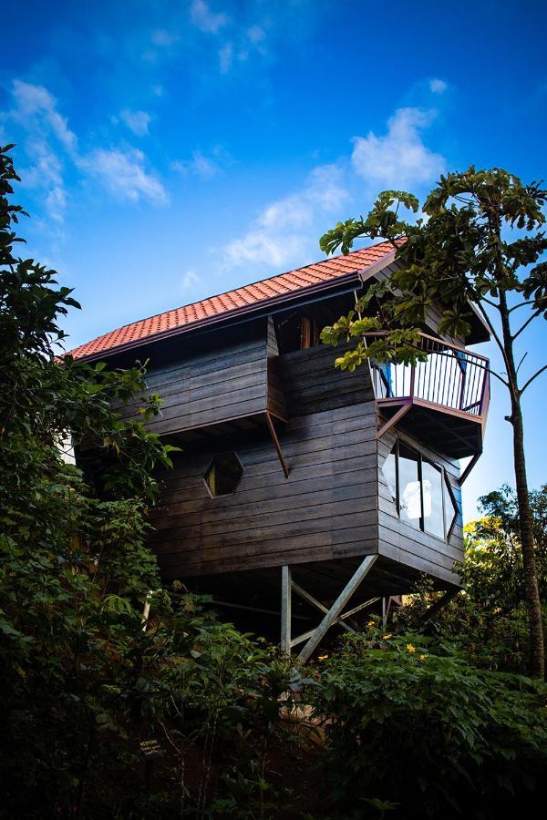 Casa Tucan Glamping Hotel Turrialba Exterior photo